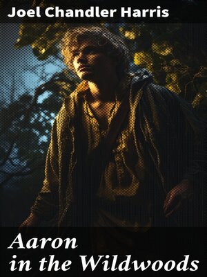 cover image of Aaron in the Wildwoods